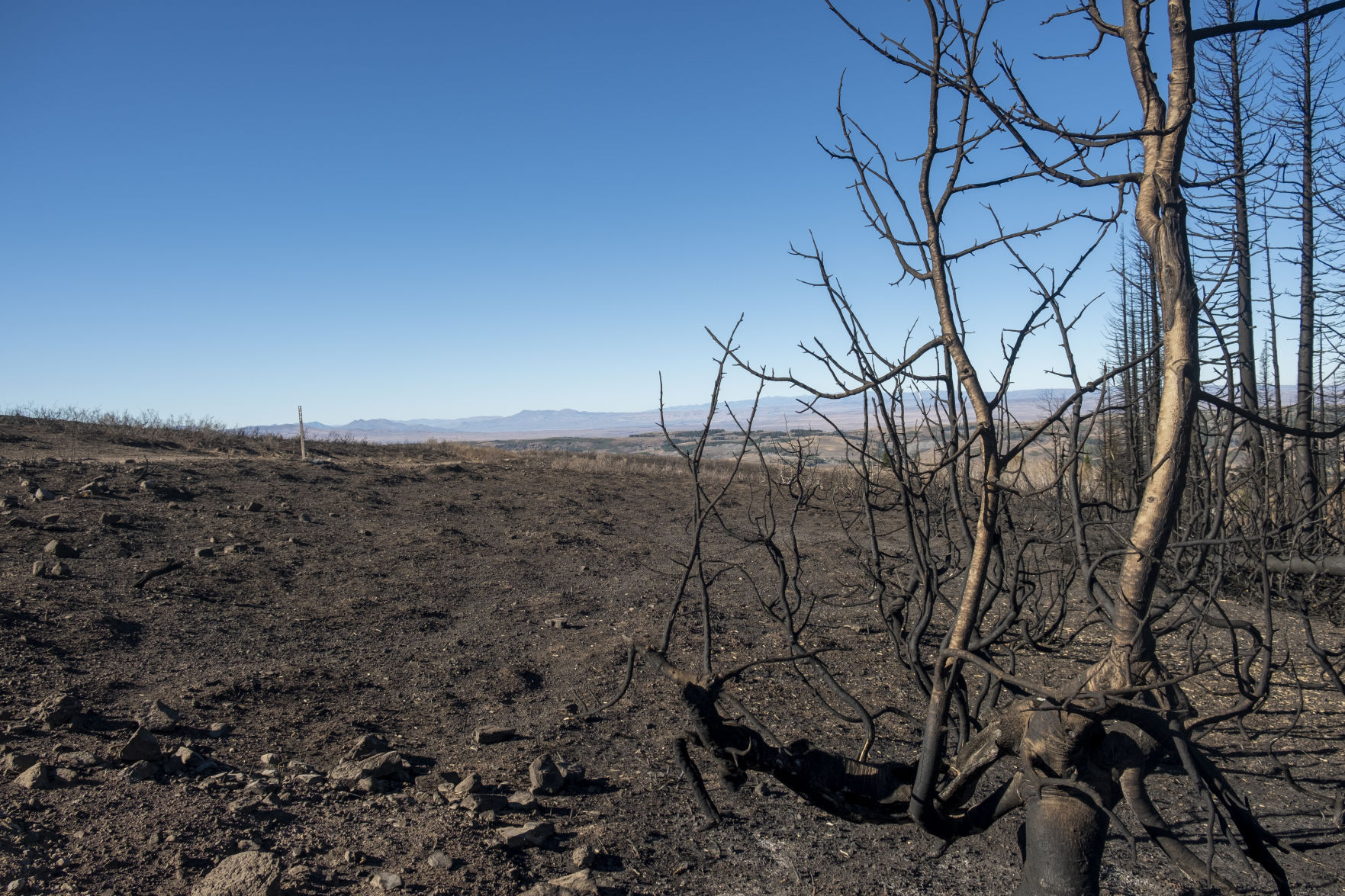 Badger Fire damage south end